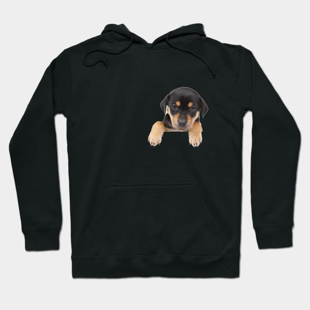 Pooch In My Pocket: Cute Puppy Hoodie by cameradog